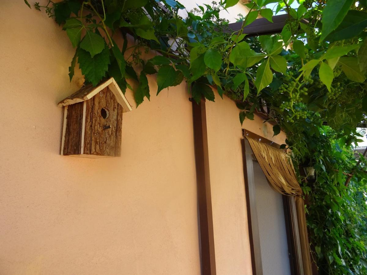 La Muntanya - Apartamentos Rural Guadalest Benimantell Dış mekan fotoğraf